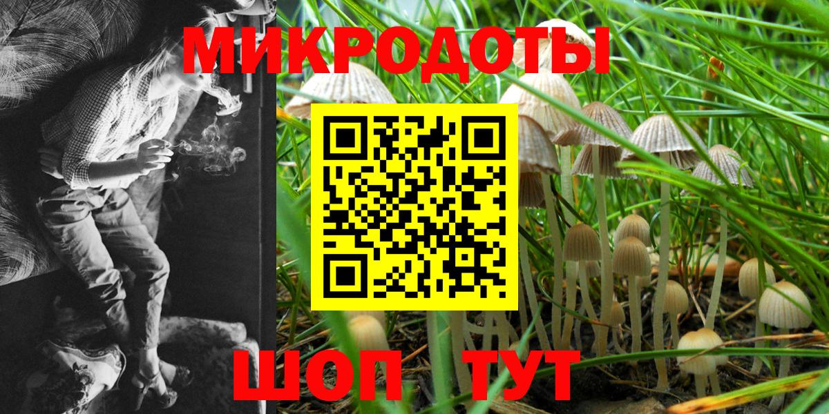 Галлюциногенные грибы мицелий Кыштым